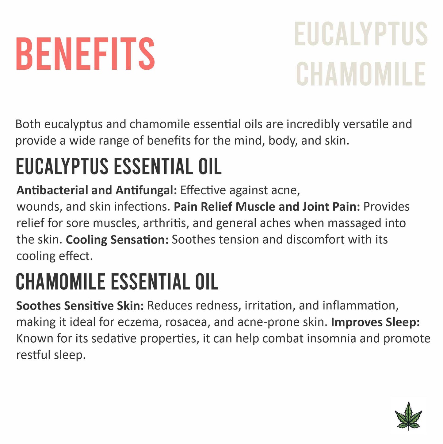 Eucalyptus + Chamomile Hemp Massage Oil