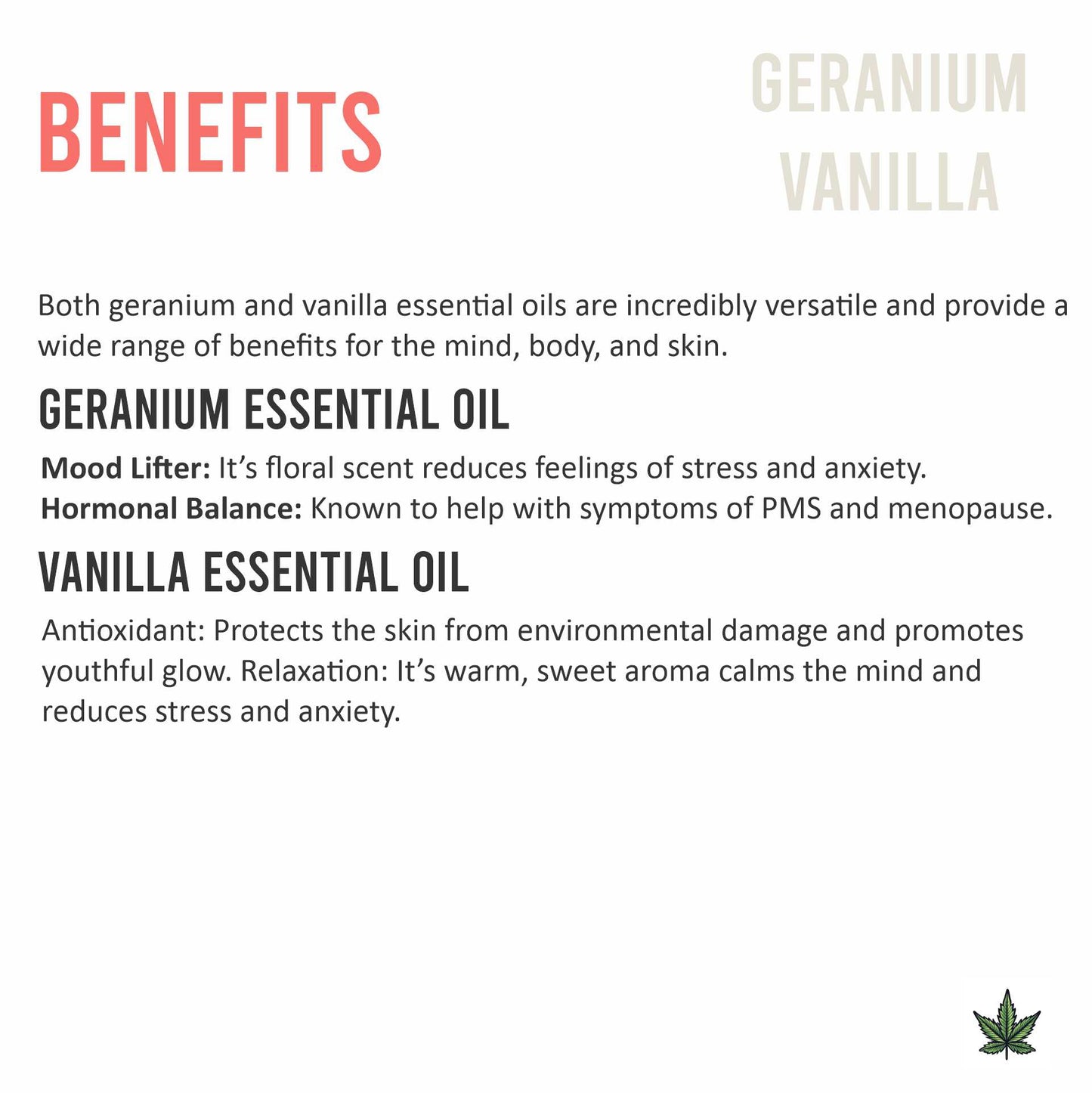 Geranium + Vanilla Hemp Massage Oil