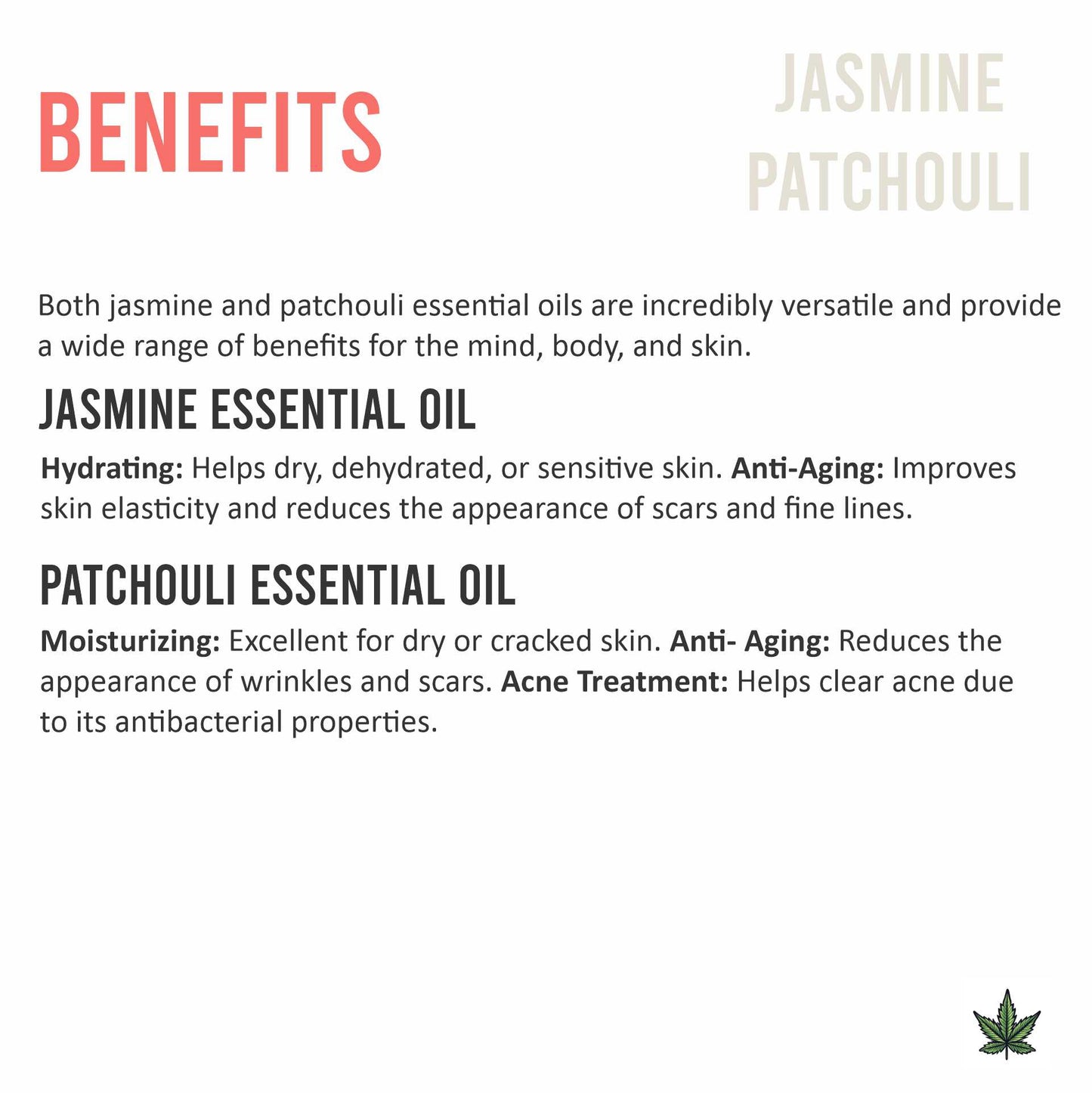Jasmine + Patchouli Hemp Sleep Cream
